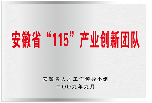 安徽省“115”產(chǎn)業(yè)創(chuàng)新團(tuán)隊(duì)